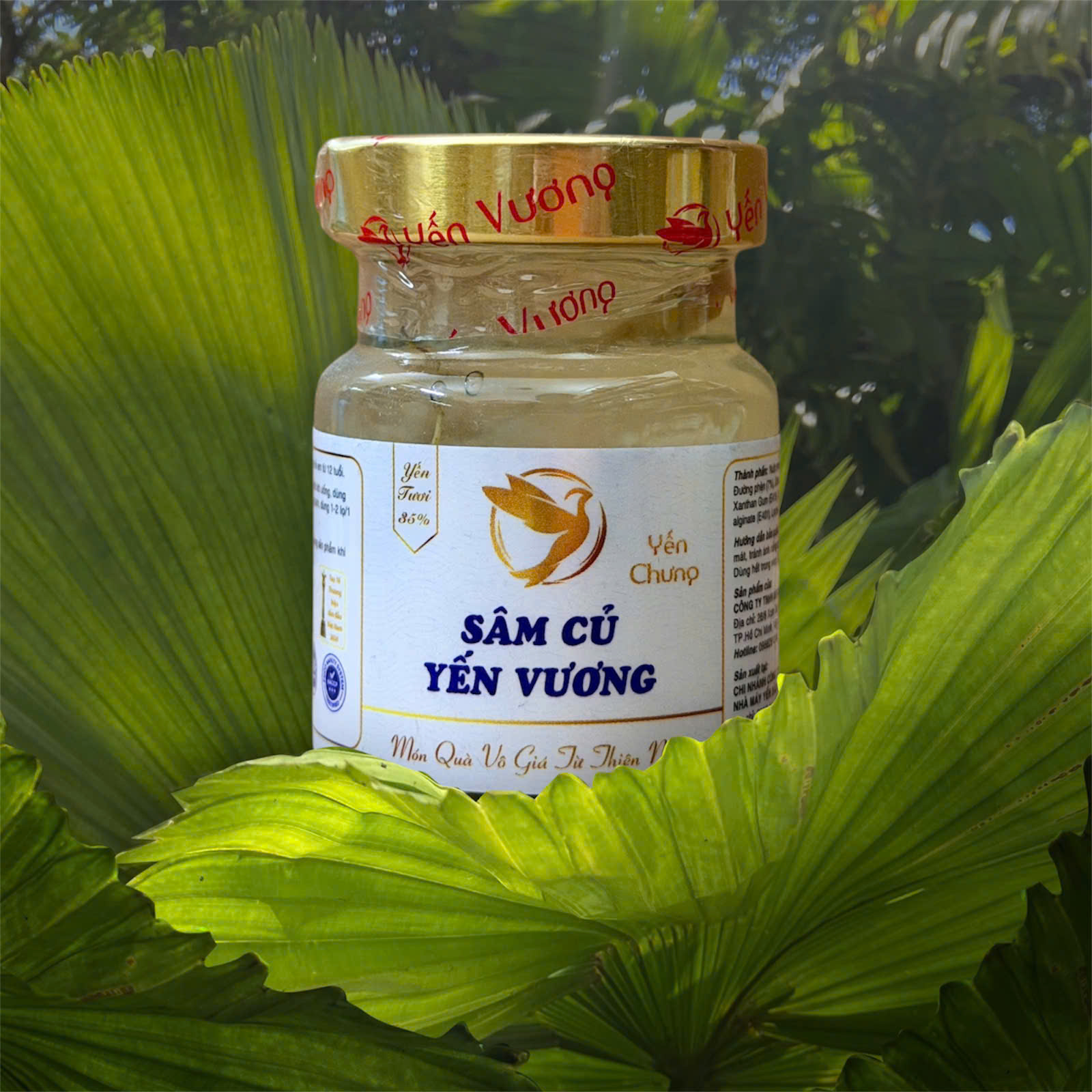 Hũ yến Vương 70ml Sâm Củ